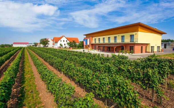 Piękna winnica Skoupil, Velké Bílovice