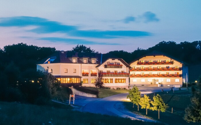 Hotel Wienerwaldhof ****