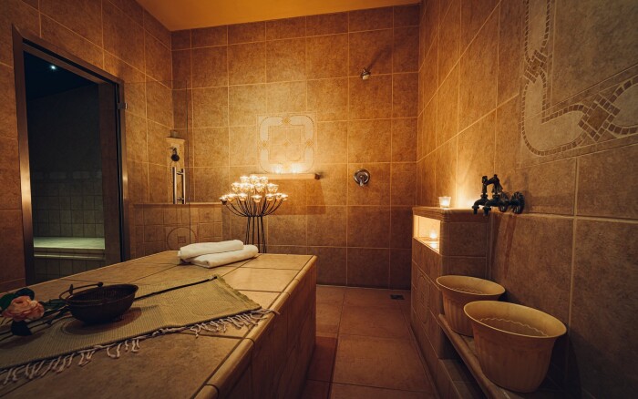 Wellness & Spa Hotel Bolfenk ****
