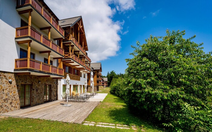 Forest Hotel Videc ***