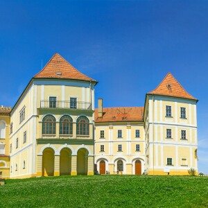 Zamek Letovice