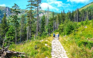 Polskie Karkonosze