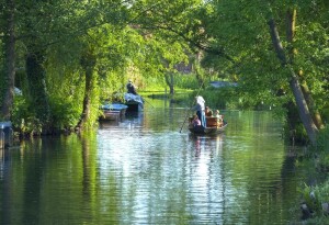 Schlepzig w Lesie Spree