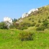Różowe Wzgórze i Kamień Koci