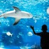 Oceanarium Kołobrzeg