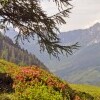 Lackenkogel