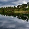 Park przyrody Dahme-Heideseen