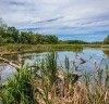 Park Narodowy Donau Auen