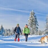Snowland Valčianska Dolina