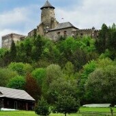 Zamek Stara Lubownia
