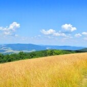 Białe Karpaty