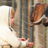 ZOO Kosice
