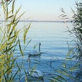 Mały Balaton