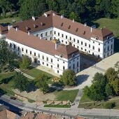 Miasto Papa