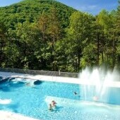 Basen i wellness Zielona żaba
