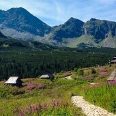 Tatry