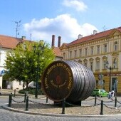 Miasto Žatec