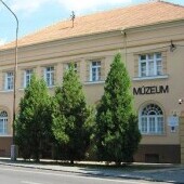 Muzeum Jana Thaina