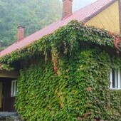 Srub Petra Bezruče
