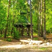 Park Leśny Piveček