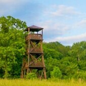 Wieża widokowa Pod Vojansků