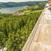 Szlak przez korony drzew Lipno
