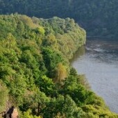 Želinsky meander