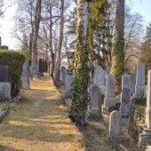 Cmentarz żydowski w Trebicu