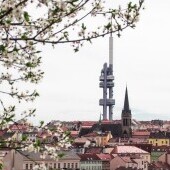 Wieża telewizyjna Žižkov