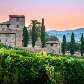 Castellina in Chianti