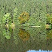 Zbiornik wodny Nowa Bystrzyca