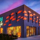 Oceanarium w Miedzyzdrojach