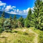 Wieża widokowa na górze Młynica