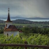 Winiarnia w Kishegy