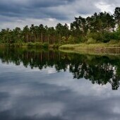 Park przyrody Dahme-Heideseen