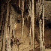Jaskinia Važecka
