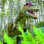 Dino i park linowy Terchowa