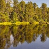 Torfowisko Rejvíz