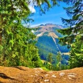 Tatry Niskie