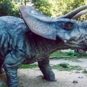 Dinopark Szklarska Poręba