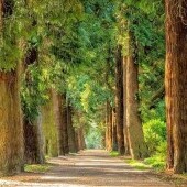 Park Zdrojowy Długopole Zdrój