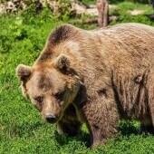 Zoo w Miszkolcu