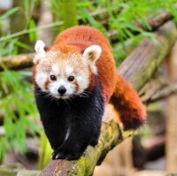 ZOO Ostrawa