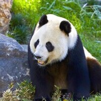 Zoo i akwarium w Berlinie